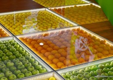 Fresh fruit placed in the floor at the Total Produce stand.
