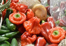 Green Egypt introduced, among other products, Scotch Bonnet, a hot red pepper. In addition to the red variety, a green Scotch Bonnet is for sale, and next year the company will introduce a yellow and orange variety, Sherif Attia says.