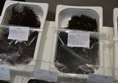 Denmark and Finland are particularly good markets for sea vegetables.