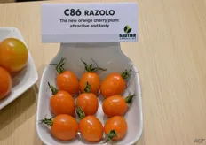 An orange cherry plum tomato, new from Gautier Semences.