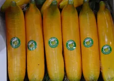 Organic plastic bananas?
