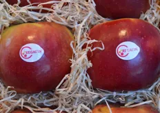 The Regal'in apples were also nominated for the Innovation Award. The apples are harvested in October, and have been available since April 2014.