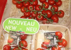 new vine tomato from Prince de Bretagne