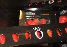 a row of strawberries