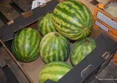 The wholesaler is also selling exotic fruits like watermelons.