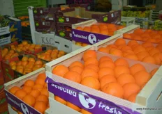 van Wylick offers a wide selection of citrus fruits.