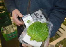 Hans Peter Deutschmann presents Shiso leaves from the Netherlands. They are mainly used in Asian cuisine.