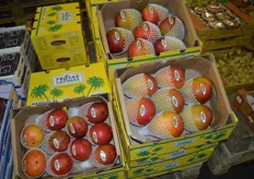 The wholesaler reports that his Peruvian mangoes are transported by plane to Germany.