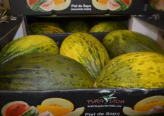 A special service of Wittenberg is among others the punctual delivery of its products to its customers. Here we see sweet cantaloupe from Costa Rica.