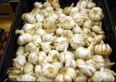 Loose garlic