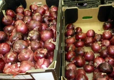 Nice red onions