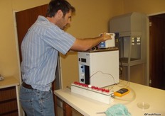 Boersma tests the months under different at different temperatures to see when they are most active and at what temperature they can survive.