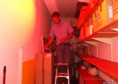 He then releases them in infrared light to simulate evening to see how many have survived.