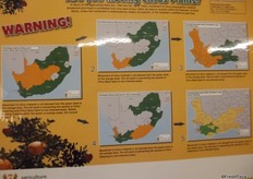 Trying to stop the spread of the false coding months.