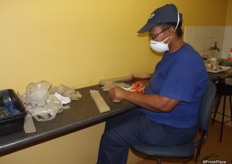 This lady cuts the paper which is used to for the larvae eggs, each paper will contain 1200 eggs.