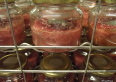 Boersma is busy developing a new diet for the larvae.