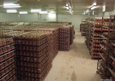 You see how jars are in use and how many need to get washed everyday.