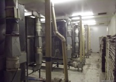 The pupation boards are then taken to this room for around ten days where the when the moths hatch they fly into the light and are sucked up the pipes for harvesting.