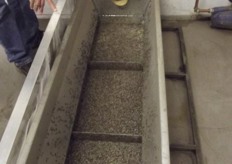 The moths land here in a room which is kept at 6C which keeps them inactive and insures no damage is done.