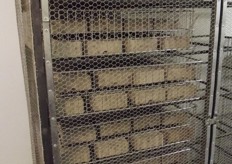 Moths are ready for radiation treatment.