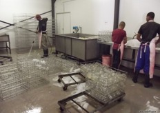 This is long, labour intensive process of washing all the jars by hand.