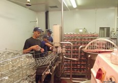 Also labour intensive is the process of filling the jars.