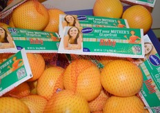 Harvest of Ruby red grapefruit has just started in the Coachella Valley.