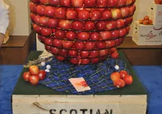 Nova Scotia apples