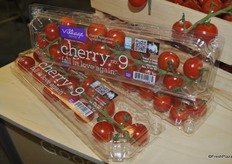 Fall in love again with the Cherry NO. 9