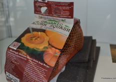 2 Organic Acorn Squash packed in a net