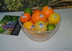 Sunkist Citrus family