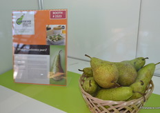 Belgian Conference pears