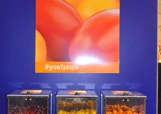 Tomato dispenser from Nature Fresh Farms