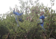 The workers were very keen to have their photo taken.
