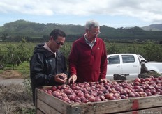Dirk Meyer Operations manager at Applethwaith Farm and Johan De Klerk COO Capespan.