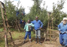 The climate in Grabouw is one of the top three for growing apples in South Africa. After the 2nd world war it was almost entirely an apple growing region but these days there are also a lot grapes grown here.