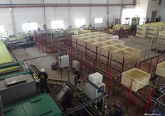 Capespan bought this packhouse in Paarl from Colors. The packhouse burnt down in 2009 during harvest time. Before the fire it packed a variety of fruit but now specialises in apples, it also packs some pears.