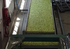 After fire the packhouse was rebuilt for apples with best the technology from Grefa. One of the main advantages of this technology is that it can scan for bruising, important which is important because in South Africa lot of transport done by truck. we can guarantee consistency in speed and quality small lines one count one quality