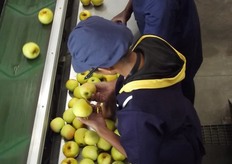 Workers take samples.