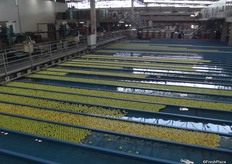 The water is used for 8 weeks and is constantly sterilised, this all done remotely.