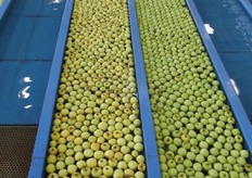 There are two lane which are used for emergency orders.