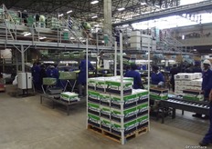 As we mentioned the packhouse also packs for other companies, Capespan decided to keep the original name Novo to assert the independent nature of the packhouse.