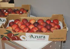 Azura presents their stonefruit from Morocco
