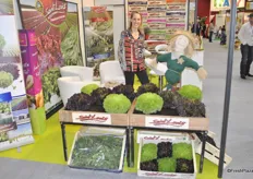 Amandine Emeric from Saint Louis, a grower of lettuces and spinach