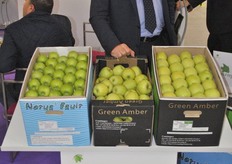 Eric Guasch from Comimpex, spoke about the Russian situation at the Medfel.