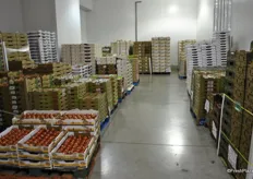 In this area the tomatoes are stored. Every room has different product categories to be stored, as the products ask for different temperatures.