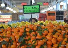 Adonis sources fresh produce from many different regions. These are clementines from Morocco.