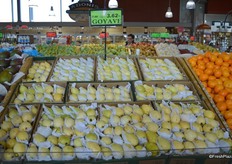 Part of a large selection of tropical fruit: Guava