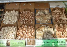 Collection of mushrooms, from the traditional button variety to specialty mushrooms like the Oyster and Shitake varieties.