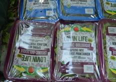 Organic lettuce: Lovinmyveggies.ca